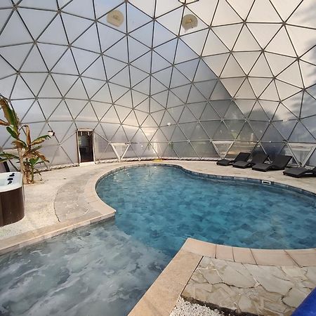 Mas Du Versadou, Dans Un Espace Naturel Protege, Piscine Couverte Chauffee Toute L'Annee, Spa Et Salle De Jeux Saint-Gilles  Exterior foto